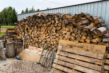 Bir odun yığınına yığılmış, gövdeleri kesilmiş. evin arkasında yatan.