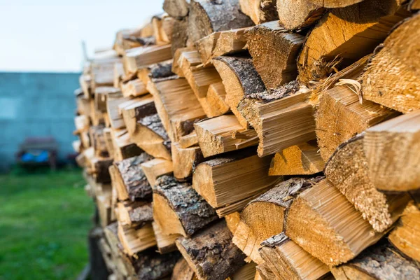 Hromadě Stromů Rozřezané Dříví Uzavření Záběru Dřevěné Pozadí — Stock fotografie