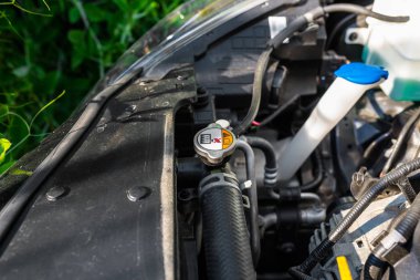 Motor bölümü arka planda motoru ile araba radyatör bağlantı hortumu.