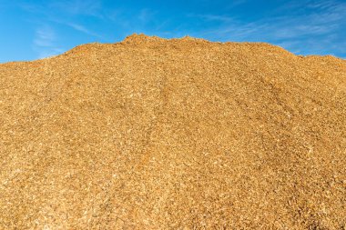 Arka planda mavi bir gökyüzü ile, bir kare üzerinde yatan ahşap yongaları büyük bir yığın.