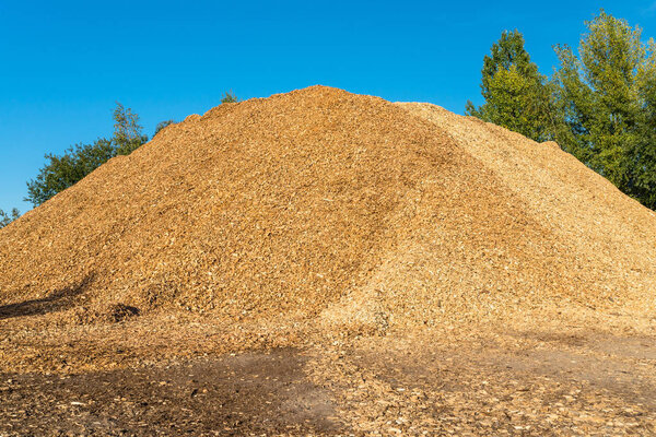 A large pile of wood chips lying on a square, with a blue sky in the background.