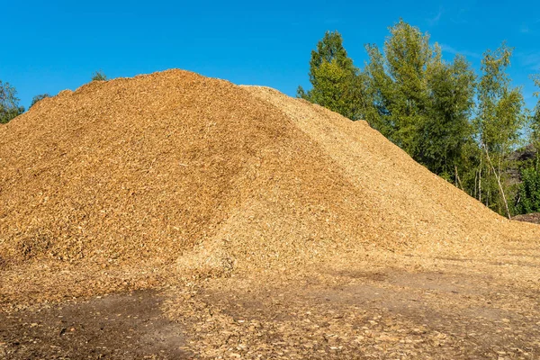 Large Pile Wood Chips Lying Square Blue Sky Background — Stock Photo, Image