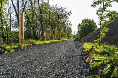 Ağaçlar arasında, ağaçlar arasında, görünür çakıl ve ahşap tahtalar, ağaçları hasardan koruyan bir toprak yol.