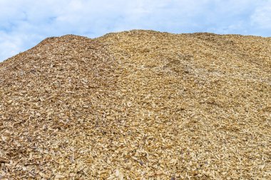 Arka planda mavi bir gökyüzü ile, bir kare üzerinde yatan ahşap yongaları büyük bir yığın.