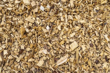 Ahşap yongalardan yapılmış arka plan, yakın çekim, ahşap doku.