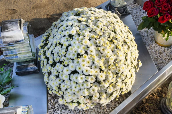 円の形をした墓石に菊 キリスト教の墓地に菊 — ストック写真
