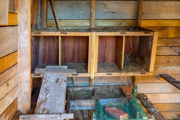 Interior Wooden Henhouse Countryside Visible Pens Wooden Ramp — Stock Photo, Image