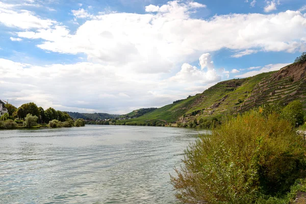 Río Mosela Oeste Alemania Cerca Desembocadura Del Río Coblenza Los —  Fotos de Stock