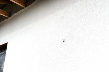 Binanın duvarına monte edilmiş bir vida. Oluk kıskacını onarmak için kullanılmış. Duvarın üstüne tutturulmuş..