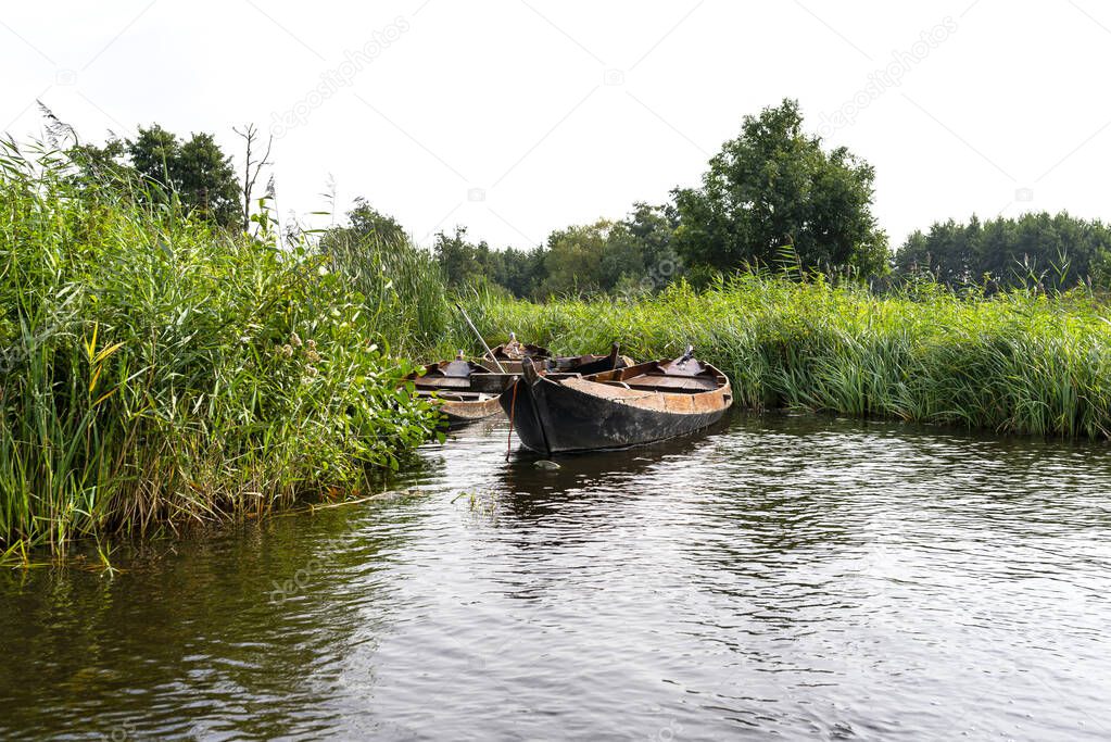 An abandoned wooden boat standing in the canal between the reeds.