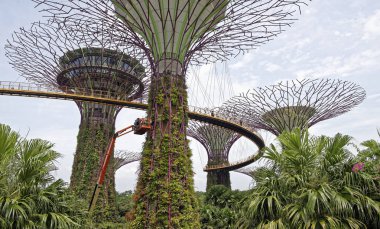 Singapore, Singapur-07 Ağustos 2018: 