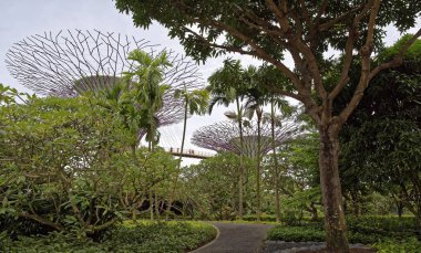 Singapore, Singapur-07 Ağustos 2018: 