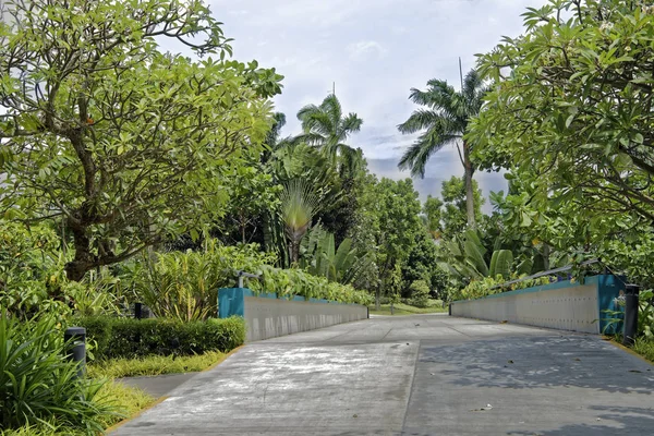 Singapore Singapore August 2018 View Gardens Bay — Stock Photo, Image