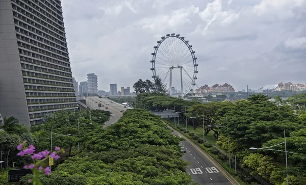 Singapore Singapur Ağustos 2018 Sheares Ave Yusufçuk Köprüsü Nden Görünüm — Stok fotoğraf