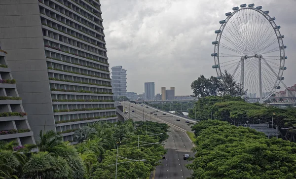 Singapore Singapur Ağustos 2018 Sheares Ave Yusufçuk Köprüsü Nden Görünüm — Stok fotoğraf