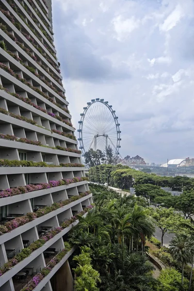 Singapore Singapur Ağustos 2018 Sheares Ave Yusufçuk Köprüsü Nden Görünüm — Stok fotoğraf