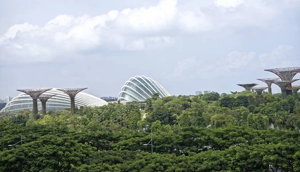 Singapura Cingapura Agosto 2018 Vista Dos Jardins Pela Baía Ponte — Fotografia de Stock