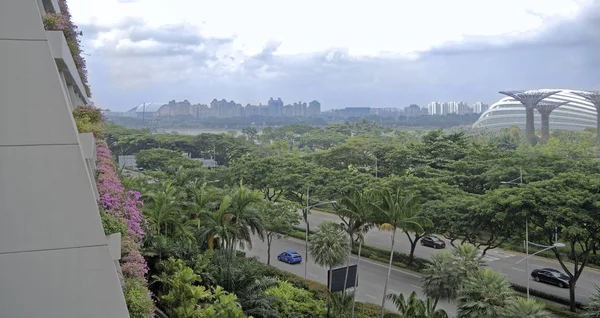 Singapore Singapur Ağustos 2018 Sheares Ave Yusufçuk Köprüsü Nden Görünüm — Stok fotoğraf