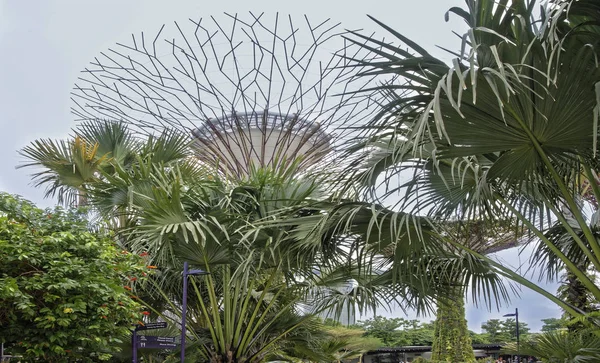 Singapore Singapore August 2018 Gardens Bay Visitors Walk Park — Stock Photo, Image