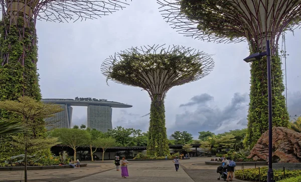 Singapore Singapur Ağustos 2018 Bahçeleri Bay Tarafından Ziyaret Edenler Parkta — Stok fotoğraf