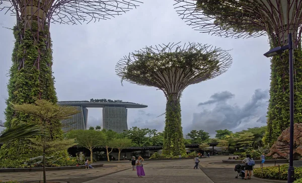 Singapore Singapur Ağustos 2018 Bahçeleri Bay Tarafından Ziyaret Edenler Parkta — Stok fotoğraf