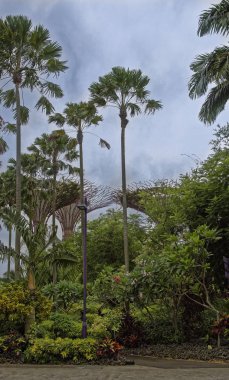  Singapore, Singapur-08 Ağustos 2018: Bay.View lüks otel Marina Bay Sands, bahçelerle 