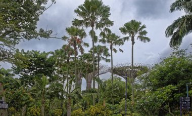  Singapore, Singapur-08 Ağustos 2018: Bay.View lüks otel Marina Bay Sands, bahçelerle 