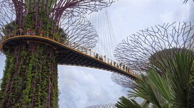 Singapore, Singapur-07 Ağustos 2018: 