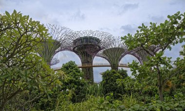 Singapore, Singapur-07 Ağustos 2018: 