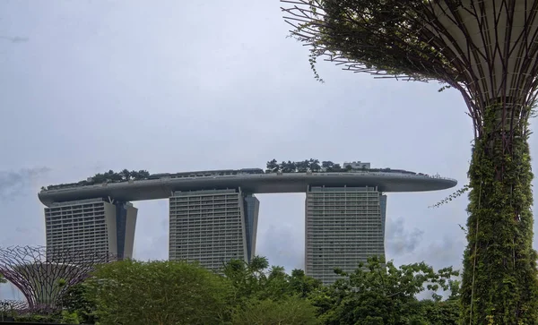 Singapura Cingapura Agosto 2018 Jardins Perto Baía — Fotografia de Stock