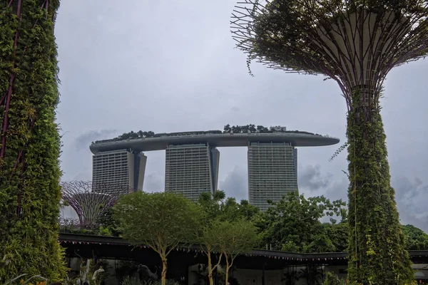 Singapore Singapur Ağustos 2018 Bahçeleri Bay Tarafından — Stok fotoğraf