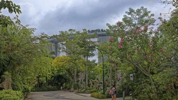 Singapur Singapur Sierpień 2018 Ogrody Nad Zatoką Odwiedzający Spacer Parku — Zdjęcie stockowe