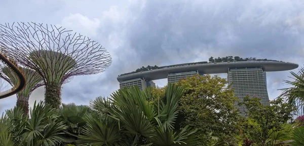 Singapura Cingapura Agosto 2018 Jardins Junto Baía Vista Luxury Hotel — Fotografia de Stock