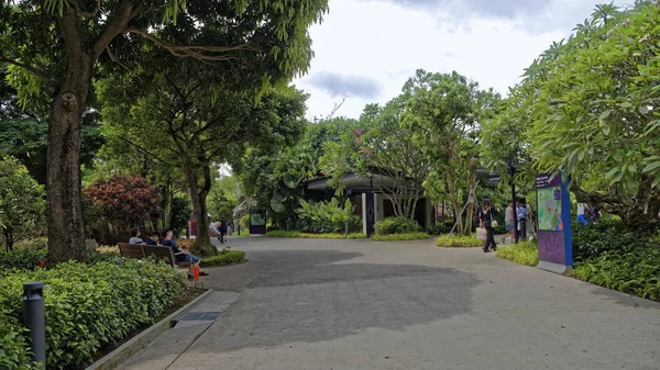 싱가포르 싱가포르 2018 베이에 방문자는 공원에서 — 스톡 사진