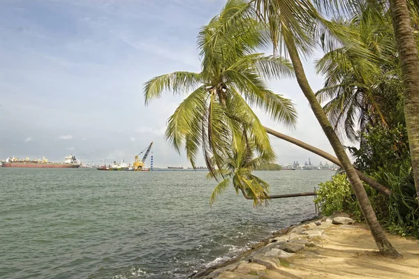 Singapur Singapur Agosto 2018 Vista Del Estrecho Singapur Desde Playa — Foto de Stock