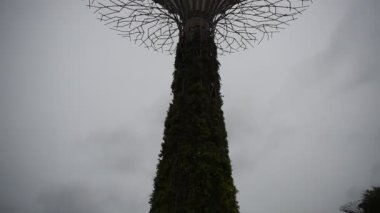  Singapore, Singapur-08 Ağustos 2018: Bahçeleri Bay tarafından. Ziyaret edenler parkta yürümek