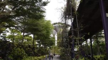  Singapore, Singapur-08 Ağustos 2018: Bahçeleri Bay tarafından. Ziyaret edenler parkta yürümek