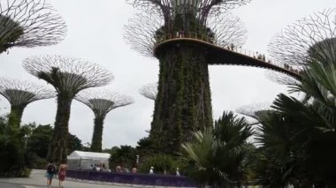  Singapore, Singapur-08 Ağustos 2018: Bahçeleri Bay tarafından. Ziyaret edenler parkta yürümek