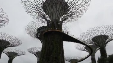  Singapore, Singapur-08 Ağustos 2018: Bahçeleri Bay tarafından. Ziyaret edenler parkta yürümek
