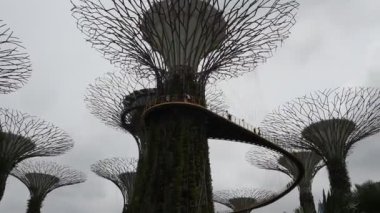  Singapore, Singapur-08 Ağustos 2018: Bahçeleri Bay tarafından. Ziyaret edenler parkta yürümek