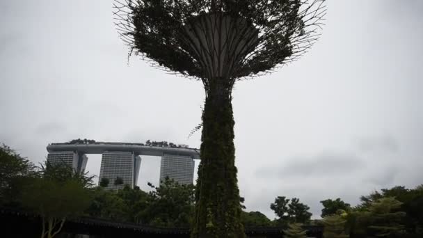 Singapore Singapore Agosto 2018 Giardini Vicino Alla Baia Passeggiata Dei — Video Stock