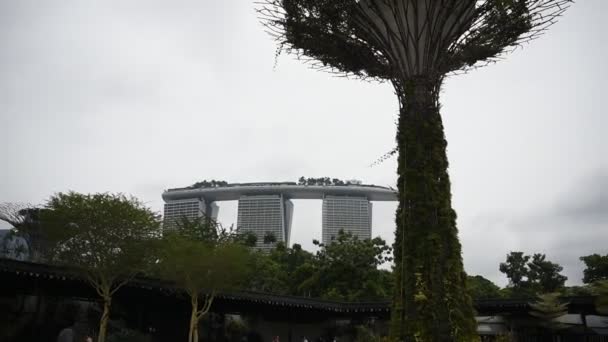 Singapour Singapour Août 2018 Jardins Près Baie Promenade Des Visiteurs — Video