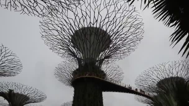Singapur Singapur Srpna 2018 Zahrady Zálivu Návštěvníci Procházka Parku — Stock video