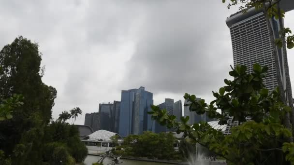 新加坡 新加坡 2018年8月07日 蜻蜓湖的看法 在海滨漫步的人们 — 图库视频影像