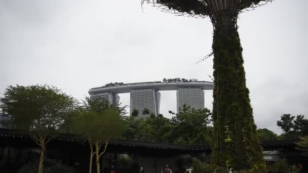 Singapore Singapore Agosto 2018 Giardini Vicino Alla Baia Passeggiata Dei — Video Stock