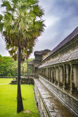 Angkor Wat dünyanın en büyük tapınağıdır (Kamboçya, 2019). 