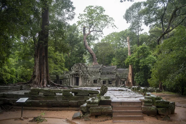 Та prohm ist der größte Tempel, es regnet in der Regenzeit. — Stockfoto