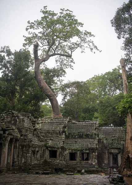 普洛姆是最大的寺庙，雨季下雨. — 图库照片