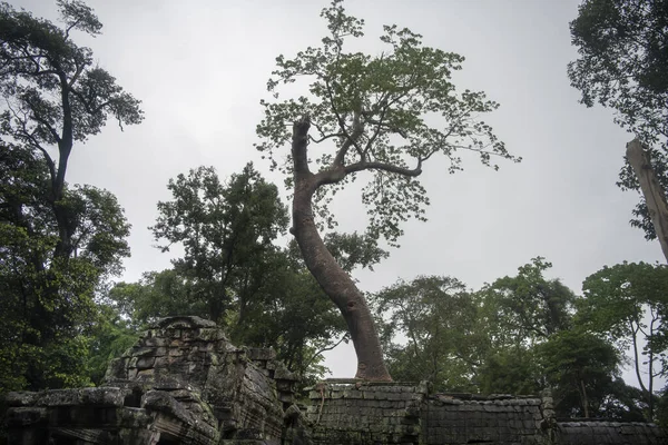 普洛姆是最大的寺庙，雨季下雨. — 图库照片