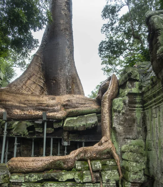 普洛姆是最大的寺庙，雨季下雨. — 图库照片